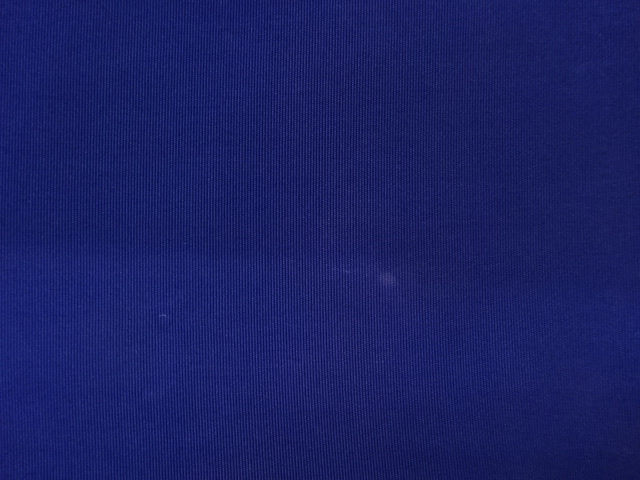  塩瀬金彩葡萄模様名古屋帯